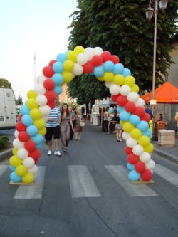 il coccodrillo come fa? La notte bianca dei bambini 2010