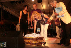 Notte Bianca 2009 