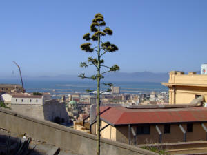 Cagliari - vista dal Quartiere Castello