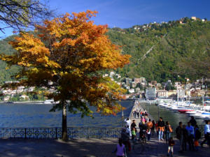 i colori d'autunno a Como