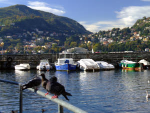 i colori d'autunno a Como