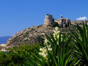 Cagliari - Calamosca