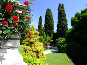 Isola Bella - i giardini