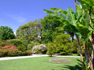 Isola Bella - giardini della villa