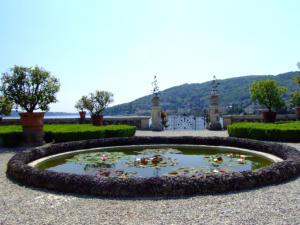 Isola Bella - fontana con ninfee