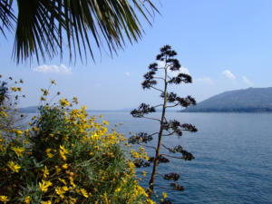 Isole Borromee - Isola Madre