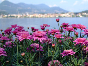 Isole Borromee - Isola Madre