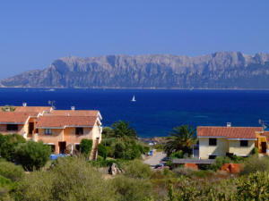 Zona di Olbia sullo sfondo Isola Tavolara - particolare