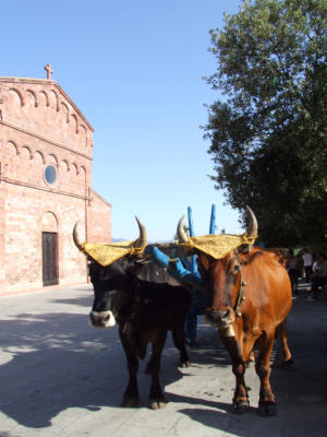 Sfilata di maschere ad un carnevale sardo