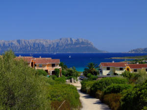 Zona di Olbia sullo sfondo Isola Tavolara - particolare