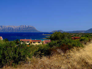 Bellissimi colori nella zona di Olbia