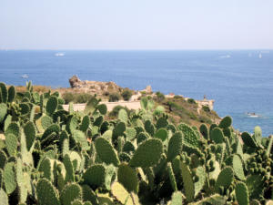 Sardegna - Santa Teresa di Gallura 