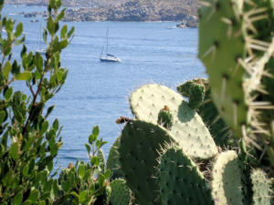 Sardegna - Santa Teresa di Gallura 