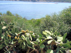 Sardegna - Santa Teresa di Gallura 