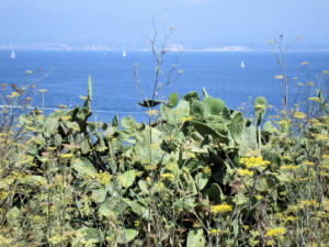 Sardegna - Santa Teresa di Gallura 