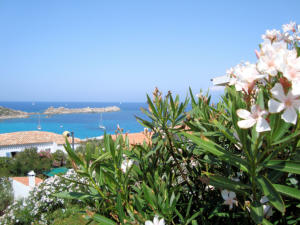 Sardegna - Santa Teresa di Gallura 