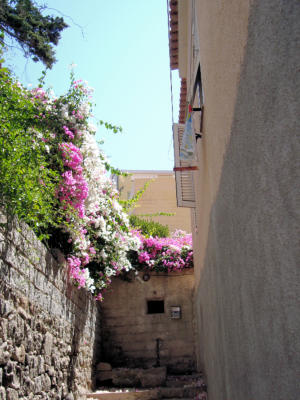 Sardegna - Santa Teresa di Gallura 