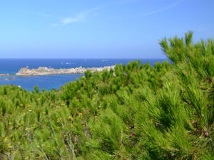 Sardegna - Santa Teresa di Gallura 