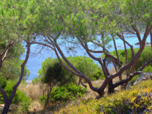 Sardegna - Santa Teresa di Gallura 