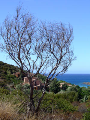 Vista dal promontorio Torre Tuerredda