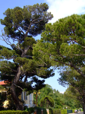 Toscolano Maderno