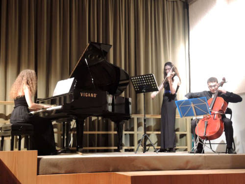 Il trio in concerto