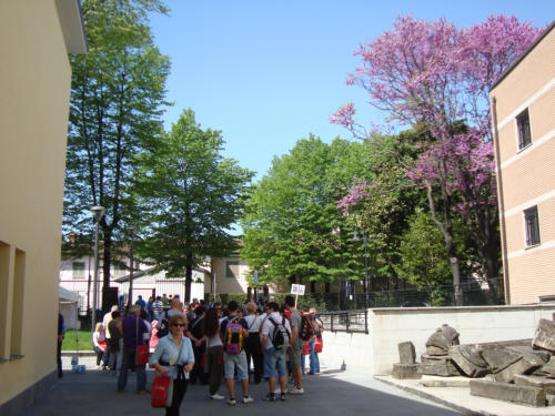 La PaciAda 2011