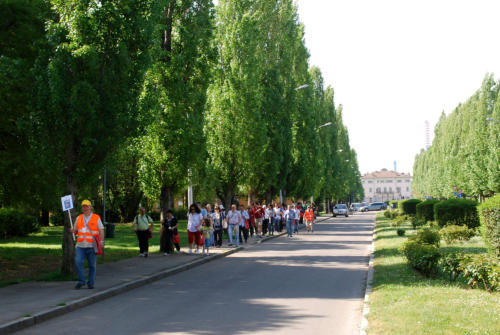 La PaciAda 2011