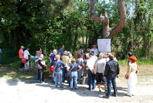 La PaciAda 2011