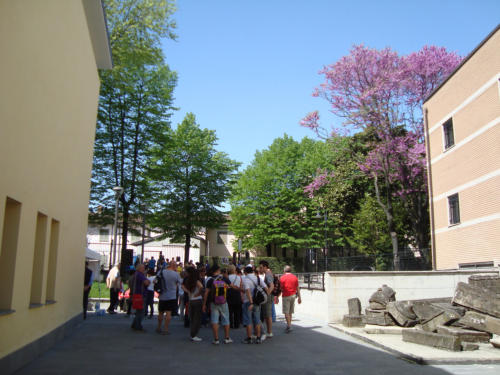 La PaciAda 2011