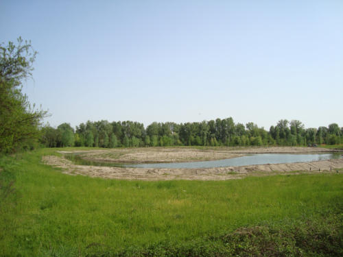 La PaciAda 2011