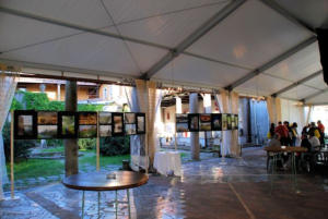 la PaciAda 2012