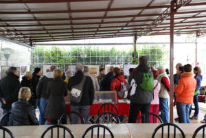 La PaciAda 2013