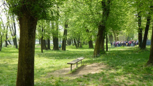 Il parco in tutto il suo splendore