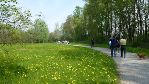 Il parco naturale dell'Isola Borromeo