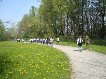 il parco dell'Isola Borromeo