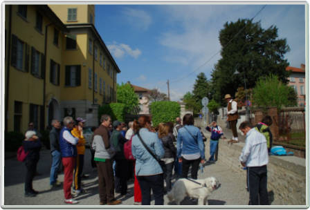 però il cane sembra un po' disattento
