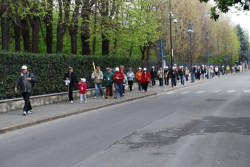 La PaciAda 2010 - 1^ Edizione