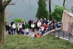 La PaciAda 2010 - 1^ Edizione