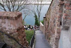 La PaciAda 2010 - 1^ Edizione