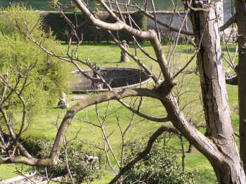 La fontana ed il giardino di Palazzo Brambilla